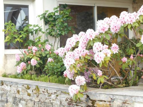 Apartamento Kmetija
