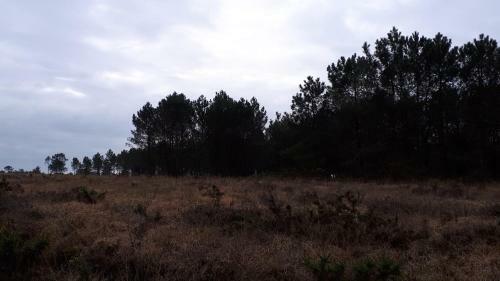Apartamento G�te Les Chants Du Crepuscule