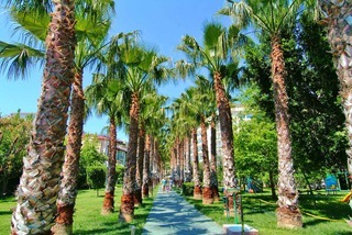 Hotel Gardenia Beach