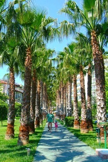 Hotel Gardenia Beach