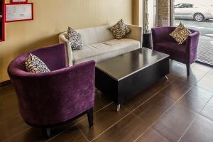 Hotel Rodeway Inn Bronx Zoo