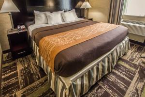 Hotel Rodeway Inn Bronx Zoo