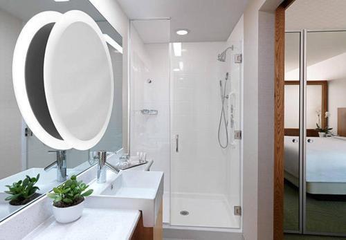 Hotel Springhill Suites By Marriott Raleigh Cary