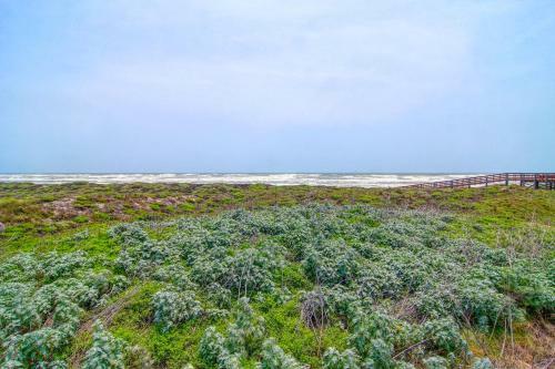 High Tide Hacienda 103gw