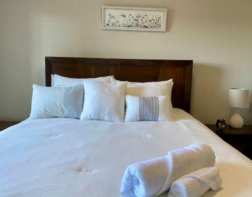 Central Houston- Lovely Apartment