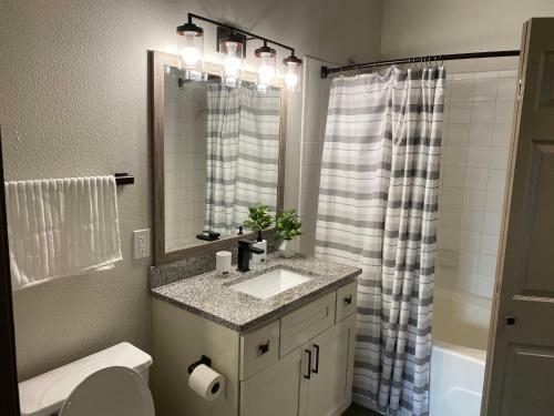 Central Houston- Lovely Apartment