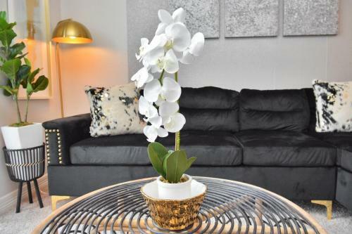 Apartamento Noir Oasis (Medical Center Nrg)
