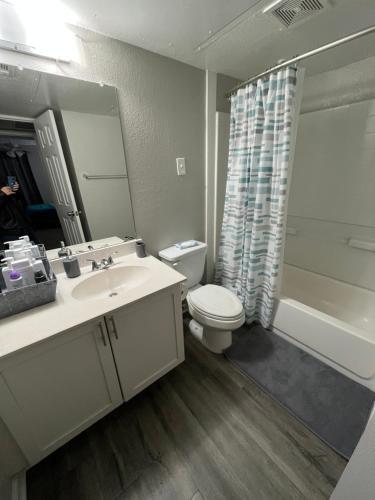 Modern Apartment In Houston Nrg, Med Center, Rice
