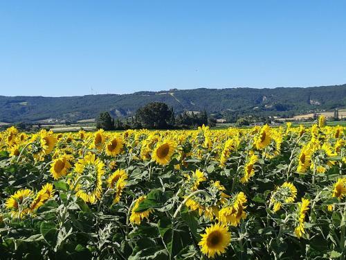 Domaine De La Tourmentine