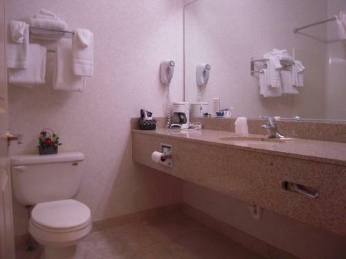 Motel Cocca's Inn & Suites Wolf Road