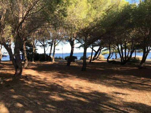 Bed & Breakfast Au Bord De Thau