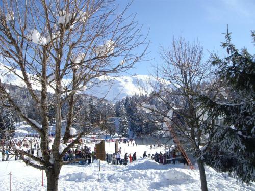 Cantal'envie