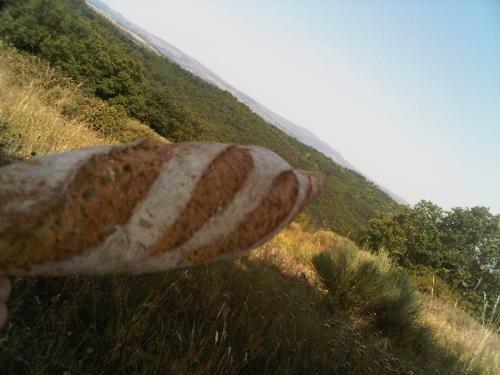 Cantal'envie