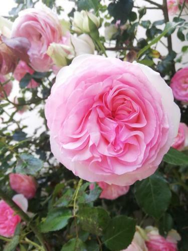 Bed & Breakfast Bastide Des Jardins