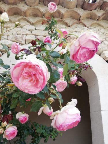 Bed & Breakfast Bastide Des Jardins