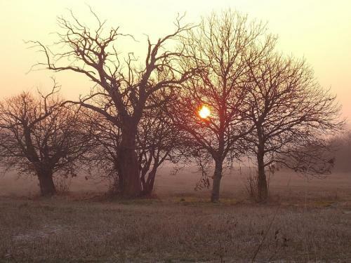 Bed & Breakfast Villeneuve Mauprevoir