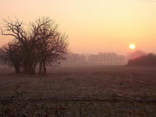 Bed & Breakfast Villeneuve Mauprevoir