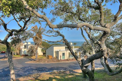 Apartamento Playful Porpoise