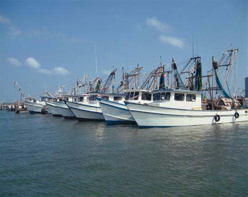 Reel Happy Rockport