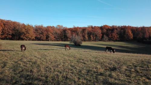 Un Chemin En Quercy