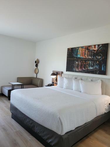 Hotel La Quinta Inn & Suites By Wyndham Terrell