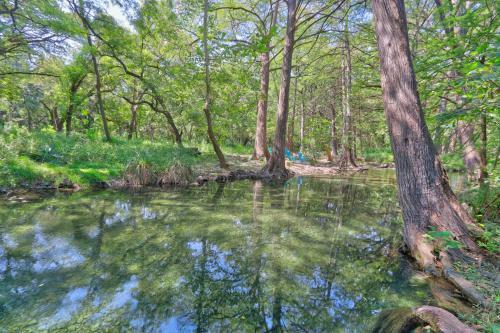 Creekside Cabins - Cypress Creek House