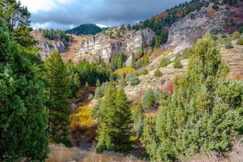 Bear Lake Getaway