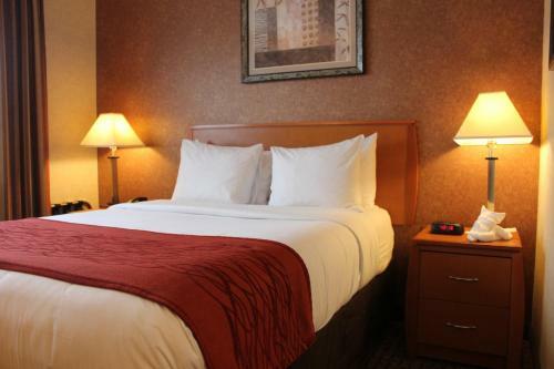 Hotel Comfort Inn Bellerose Queens