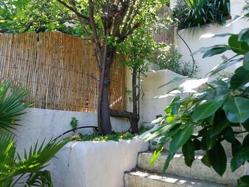 Bed & Breakfast Petite Maison Dans Le Parc National Des Calanques