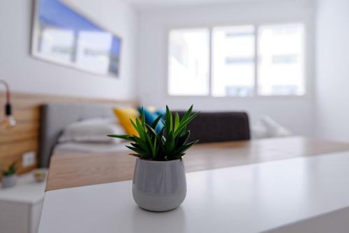 Apartamento Royal Castel