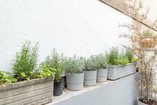 Apartamento Studio Design Marseille Centre Terrasse By Maisonmars