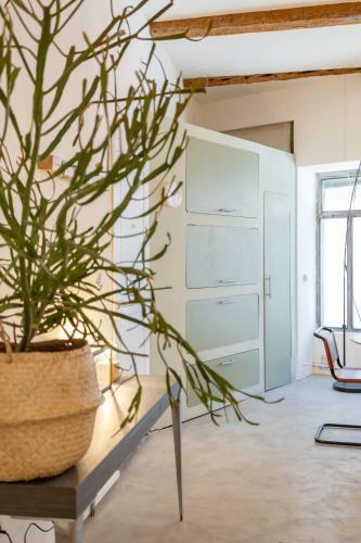 Apartamento Chic Et Moderne