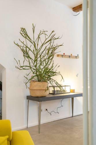 Apartamento Chic Et Moderne
