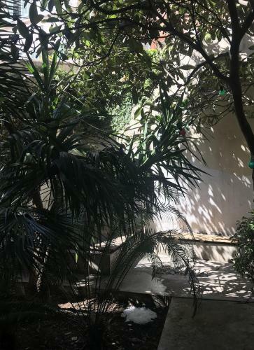 Apartamento Studio Avec Jardin Marseille Centre