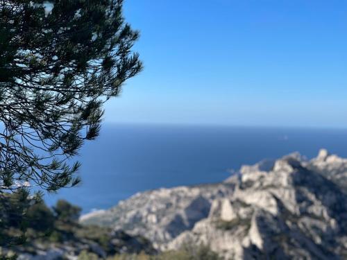Apartamento Charmant Studio En Plein Centre De Marseille