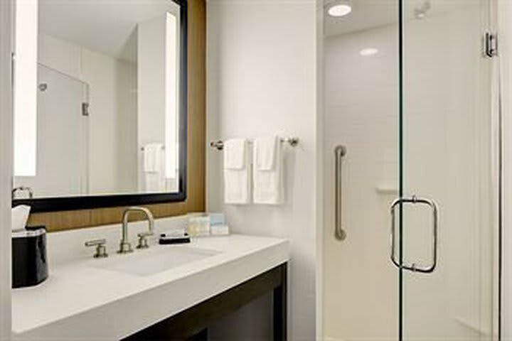 Hotel Hampton Inn Brooklyn Downtown