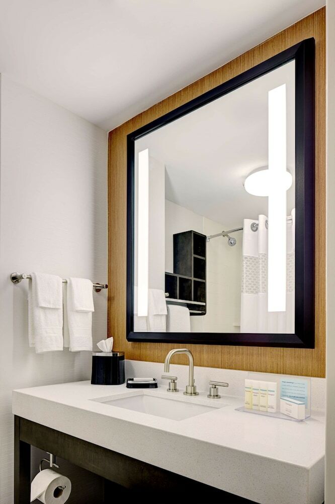 Hotel Hampton Inn Brooklyn Downtown