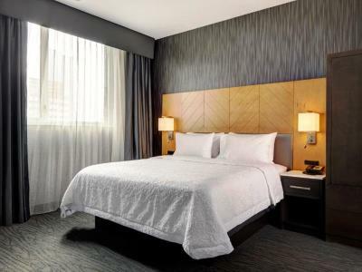 Hotel Hampton Inn Brooklyn Downtown
