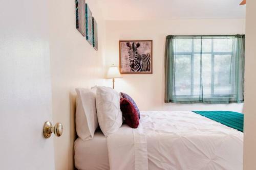 Apartamento The Jungle Emerald ? Central Slc? Fast Wifi ? Free Parking ?