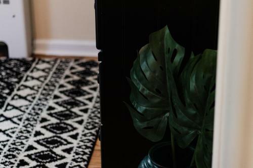 Apartamento The Jungle Emerald ? Central Slc? Fast Wifi ? Free Parking ?