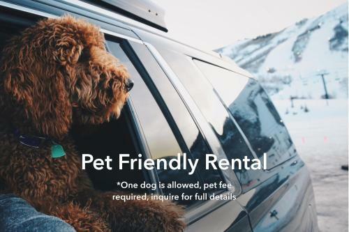 Pet Friendly, Flexible 96 Hour Cancellation, Stylish Interior, Free Bikes, Poolside - Entrada 635