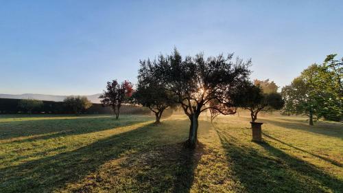 G�te Mas Antinea