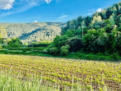 Villa Bel - Entre Paradis Et Vignes