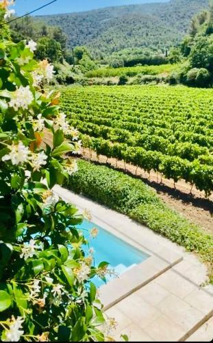 Villa Bel - Entre Paradis Et Vignes