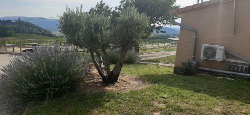 Le Pressoir