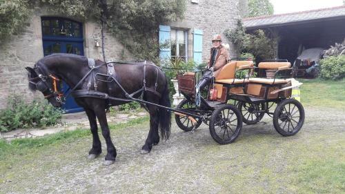 Bed & Breakfast Manoir De La Peignie