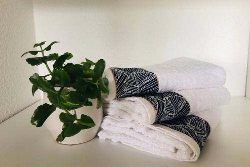 Apartamento Bordeaux Saint Augustin 65m2 Duplex