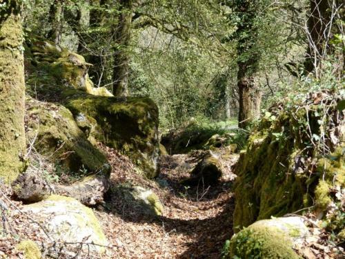 Apartamento Domaine Moulin Blanc : G�te Nomino�