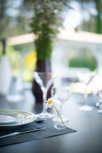 Villa Messanges (piscine & Spa)