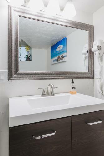 Apartamento Blue Spruce On Main - Convenient Location - 4bd Remodeled